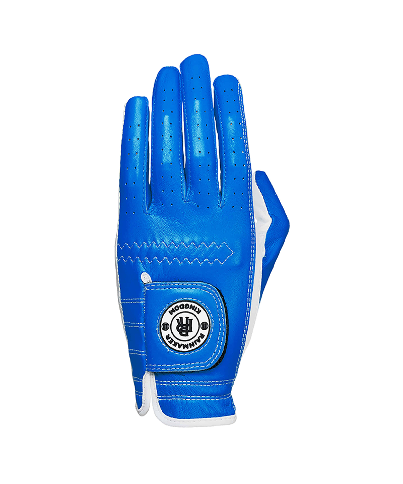 Evelyn Leather Gloves_Blue (MEN)